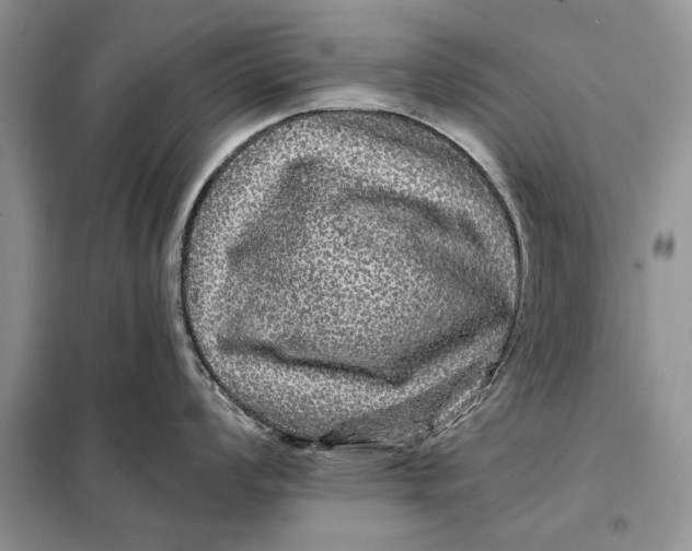 X0000098011008200804181130