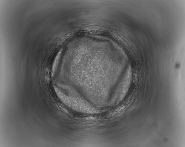 X0000098011010200804181129