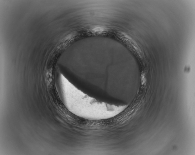 X0000098011011200804181129