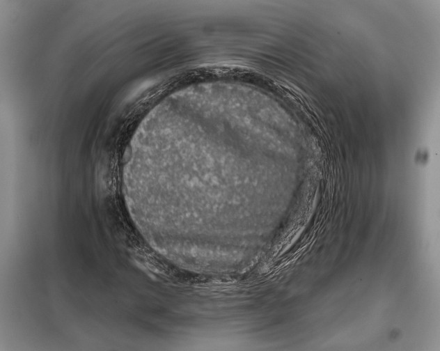 X0000098011014200804181129