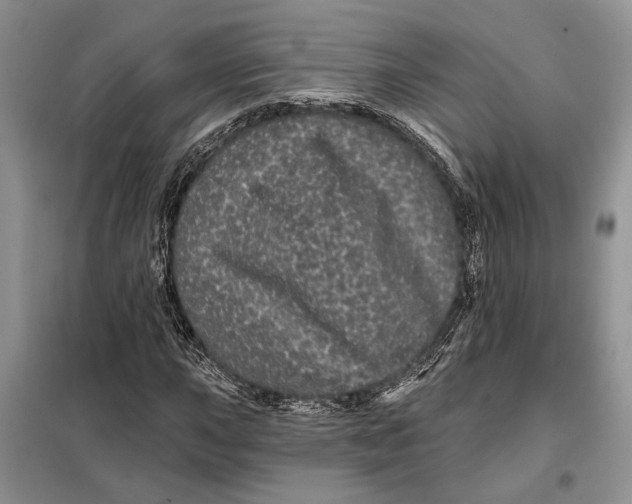 X0000098011015200804181129