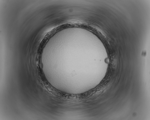 X0000098011016200804181129