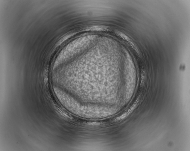 X0000098011017200804181129