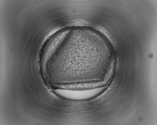 X0000098011018200804181129