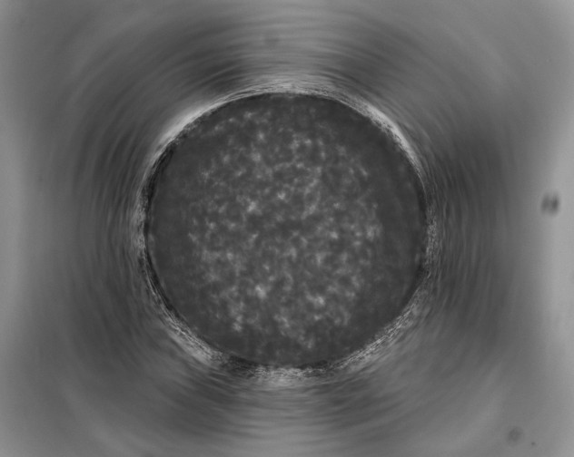 X0000098011019200804181129