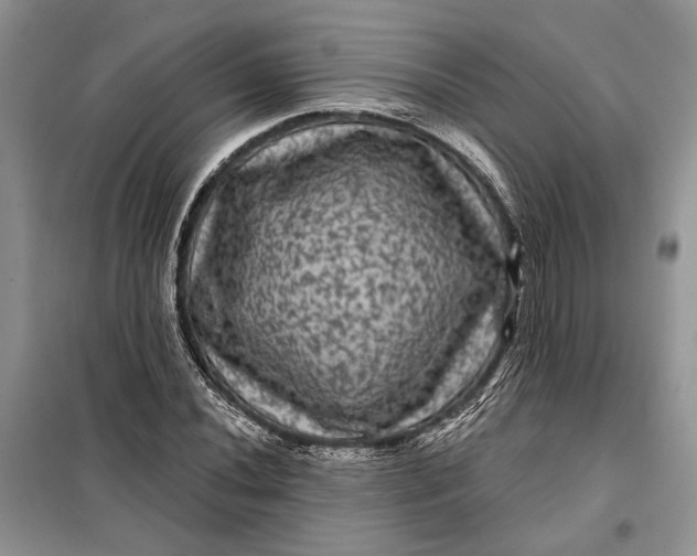 X0000098011020200804181129