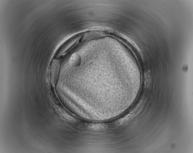 X0000098011021200804181129