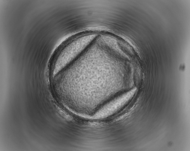 X0000098011022200804181129