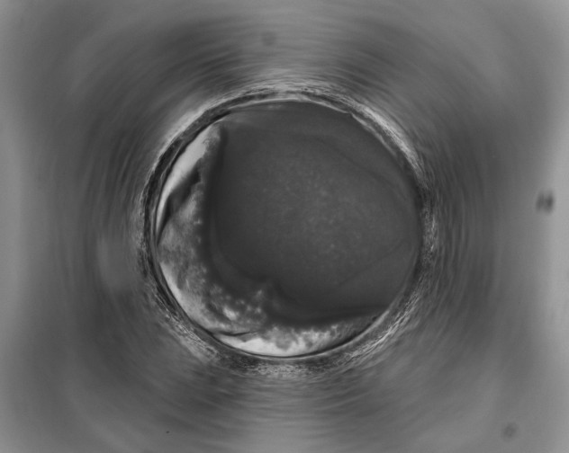 X0000098011023200804181129