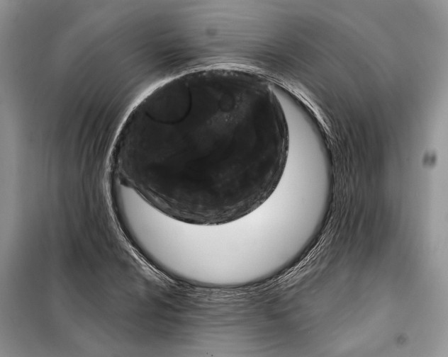 X0000098011024200804181129