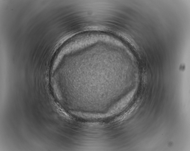 X0000098011025200804181129