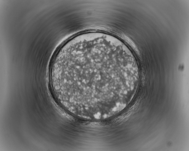 X0000098011028200804181129