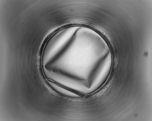 X0000098011029200804181129