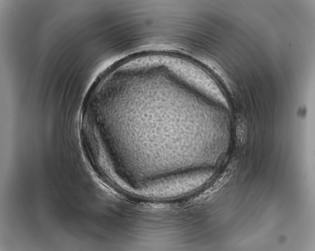 X0000098011030200804181129