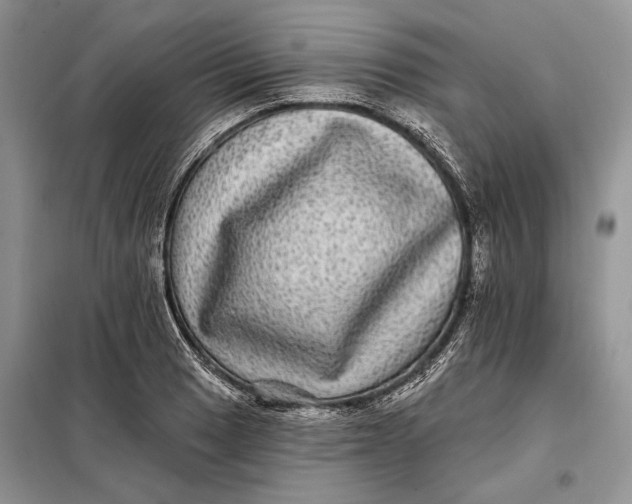 X0000098011033200804181129