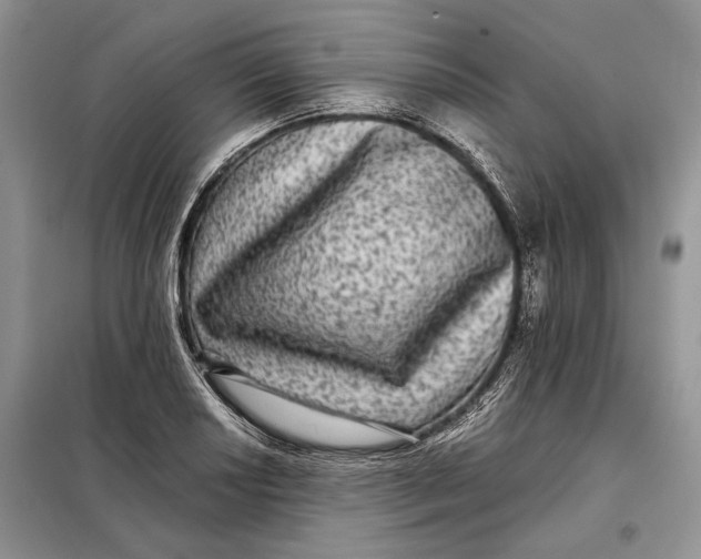 X0000098011034200804181129