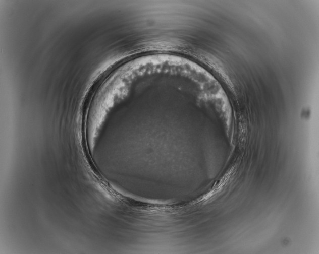 X0000098011035200804181129