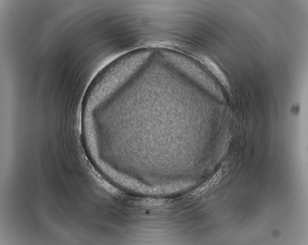 X0000098011036200804181129