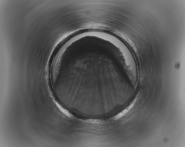 X0000098011037200804181129