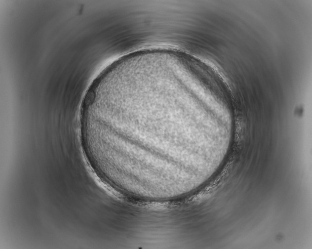 X0000098011038200804181129