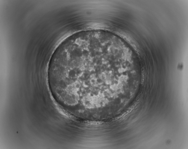 X0000098011039200804181129