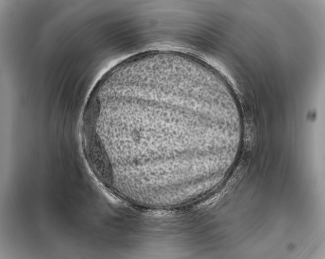 X0000098011040200804181129