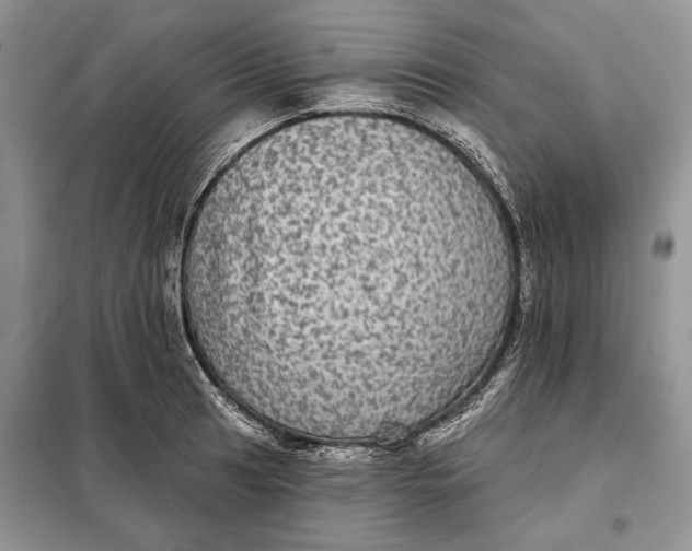 X0000098011041200804181129