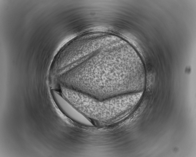 X0000098011042200804181129