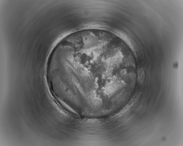 X0000098011043200804181129