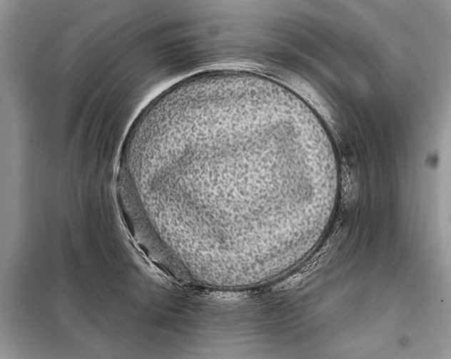 X0000098011044200804181129