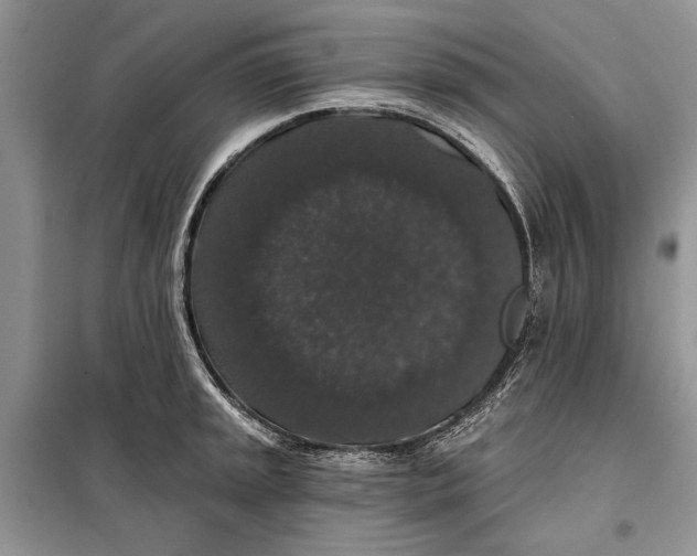 X0000098011045200804181130