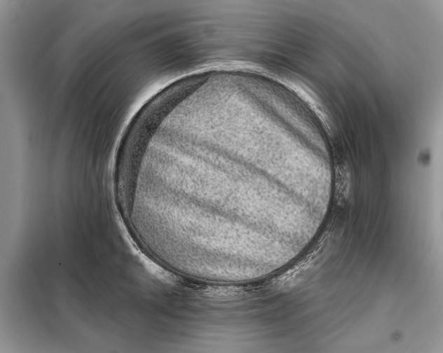 X0000098011046200804181130