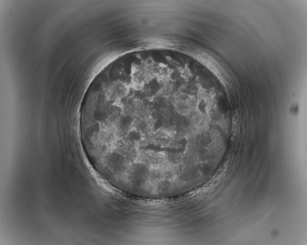 X0000098011047200804181130