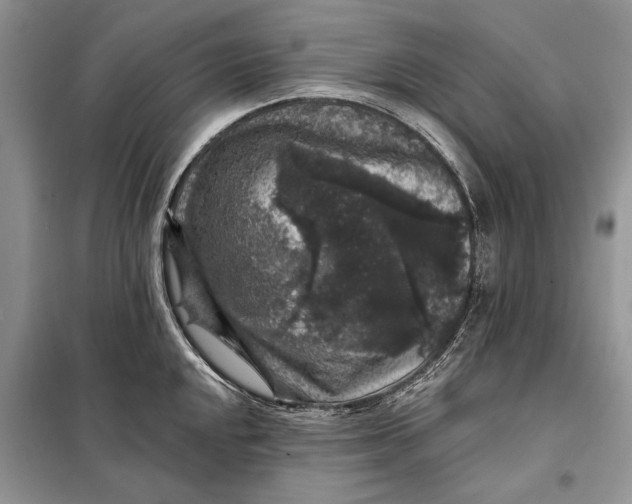 X0000098011048200804181130