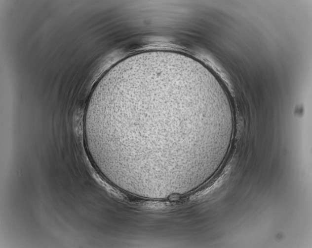 X0000098011049200804181130