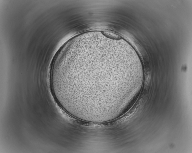 X0000098011050200804181130