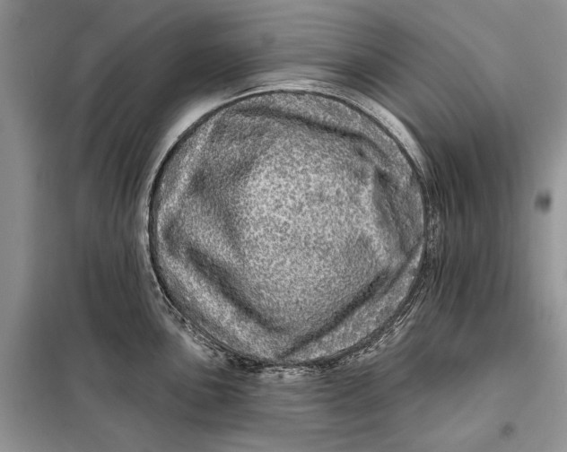 X0000098011051200804181130