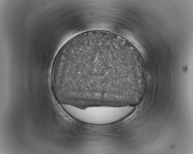 X0000098011052200804181130