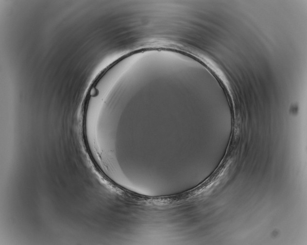 X0000098011053200804181130