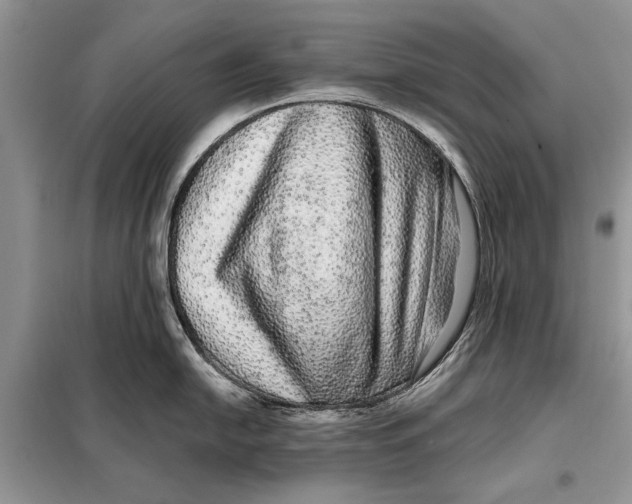 X0000098011054200804181130