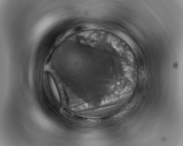 X0000098011055200804181130