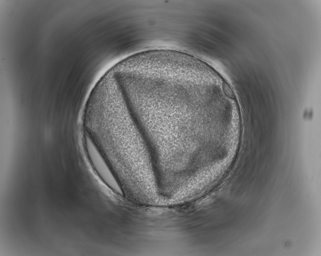 X0000098011056200804181130