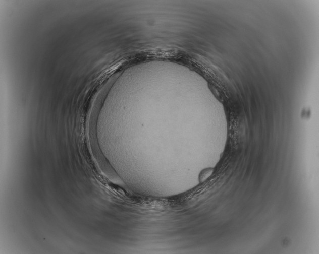 X0000098011058200804181129