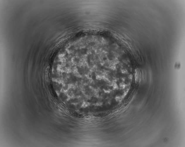 X0000098011059200804181129