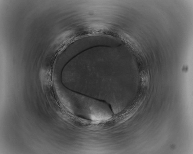 X0000098011060200804181129