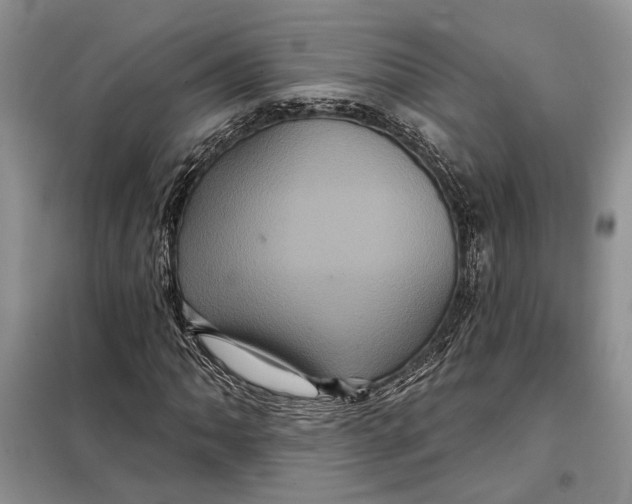 X0000098011062200804181129