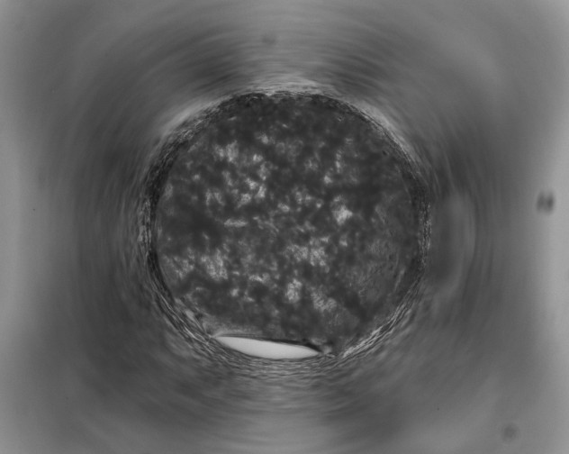 X0000098011063200804181129