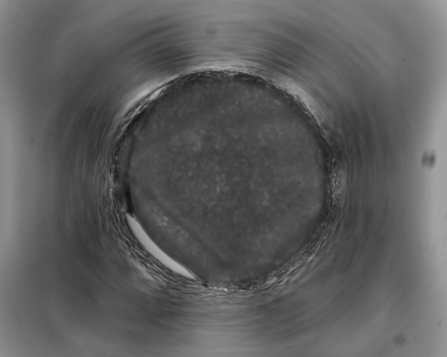 X0000098011064200804181129