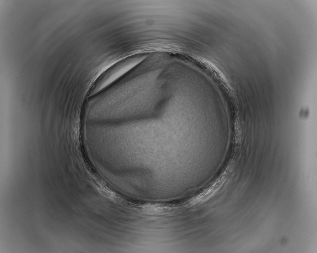 X0000098011065200804181129