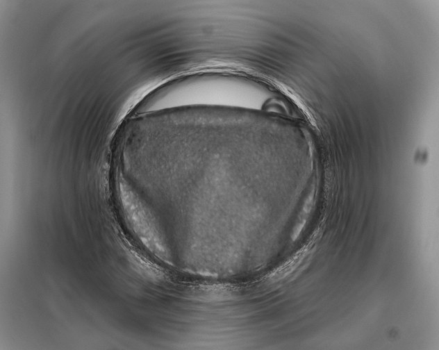 X0000098011066200804181129